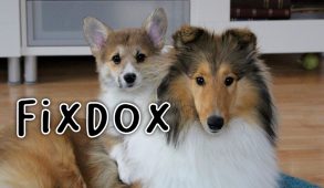 Fixdox