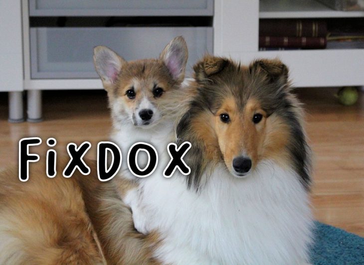 Fixdox